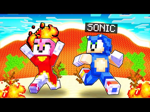 Lava TSUNAMI In Sonic's Minecraft World! | Sonic The Hedgehog 3 | [106]