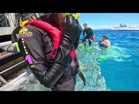 2023 04 14 Great Barrier Reef   Part 1