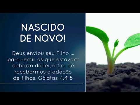 NASCIDO DE NOVO!