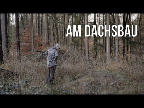 FDJ | F24 - Was muss ich über den Dachs und seinen Bau wissen?