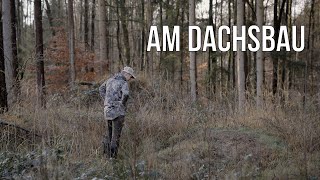 Freunde der Jagd - Folge 24 - Was muss ich über den Dachs und seinen Bau wissen?