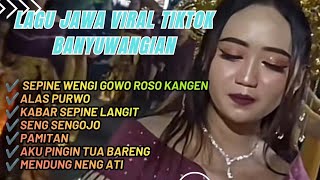 Download lagu FULL ALBUM LAGU JAWA ‼️ SEPINE WENGI GOWO ROSO KANGEN TERBARU ENAK DI DENGAR  mp3