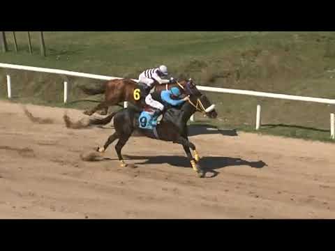 CARRERAS SINT FLORIDA - 211029 c04 1° OJASO