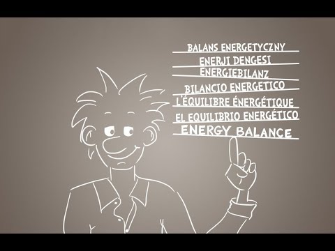 Energy balance explained - in one minute