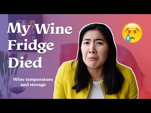 Wine Temperature and Storage 101 - A Basic Guide on How to Store your Wines and at what Temperature
