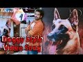 Doggy Style Lyric Video Naaigal Jaakirathai Sibi Sathyaraj Tamill HD Video