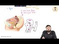 75 Vaginal Anatomy Simplified Layers Relations Blood Supply For NEET PG MBBS Exams