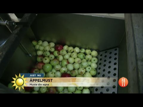 Så enkelt gör du must av dina äpplen - Nyhetsmorgon (TV4)