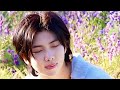 Wild Flower By RM