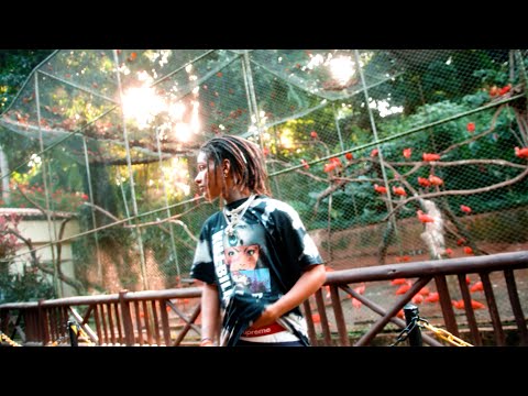 2. Elefante - Brandão85