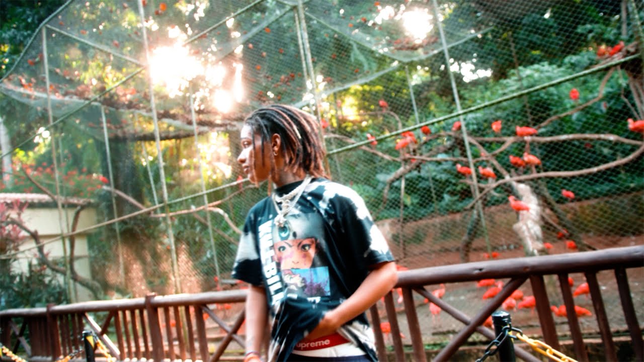 2. Elefante - Brandão85