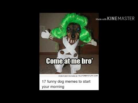 7 nation with copycat