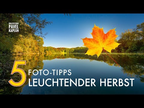 5 Foto-Tipps: Leuchtender Herbst
