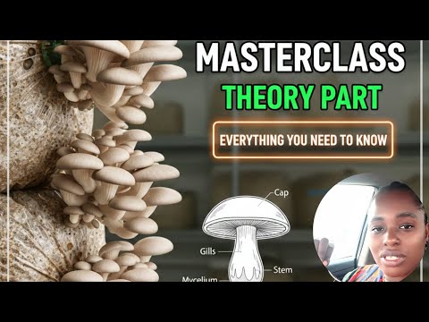 Oyster Mushroom Farming Masterclass: Complete Beginner Guide (Part 1: Theory)