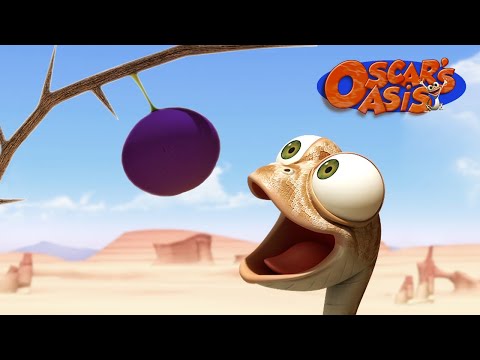 Will Oscar Get His Favourite Fruit? | Oscar's Oasis | Funny Cartoons for Kids