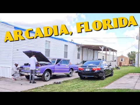 Craigslist Arcadia Fl