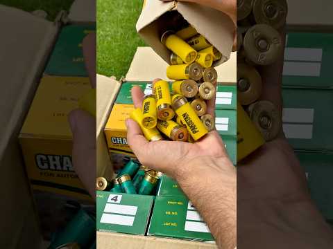 A New Manual Pro-Tech? Pro-Tech Avalon | A Peace Neighbor Design