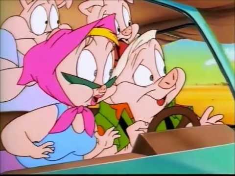 There's a Car! - Tiny Toons