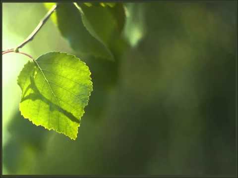 14) Largimi i dyshimeve - Shumica e njerëzve nuk kanë dijeni rreth teuhidit