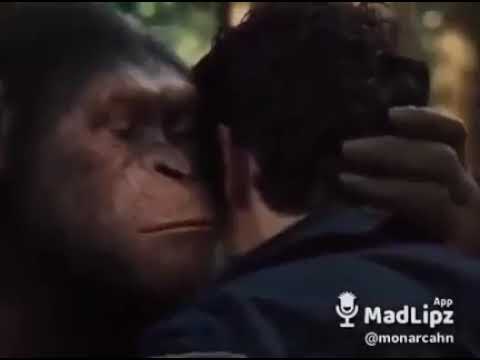 Wash your ass, today is your turn (Planet of the Apes)