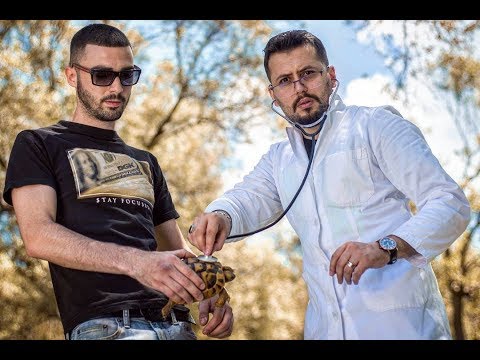 Visjan Ukcenaj ft Addictive  - Farmaci