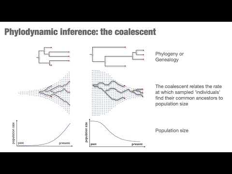 a new era in global health surveillance and strategy: What genomic data could tell us