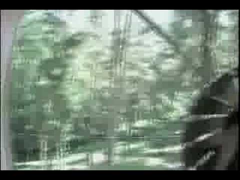 Despedida de Kanastos 2 (Sopuerta abentura)