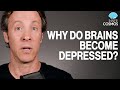 Why Do Brains Become Depressed Inner Cosmos With David Eagleman