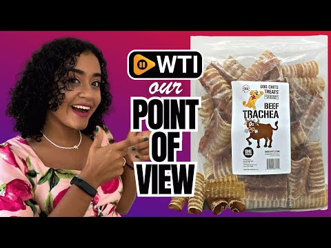 Dog Chits Beef Trachea Chews for Dogs – All-Natural - WTI product video review