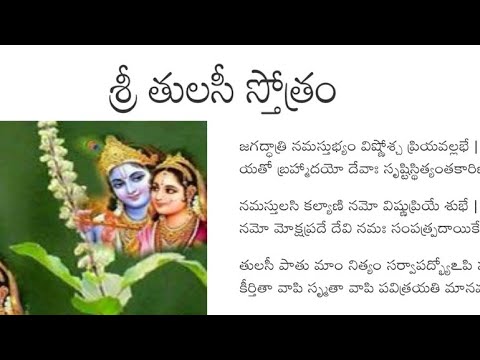 Sri Tulasi Stotram