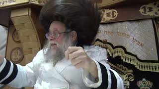 להשקיע בחינוך! שיחה במוצ"ש פרשת אמור תשפ"ו מהצדיק רבי יצחק לעזער שליט"א