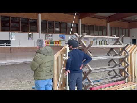 Cascalina S 2020 mare by Casall