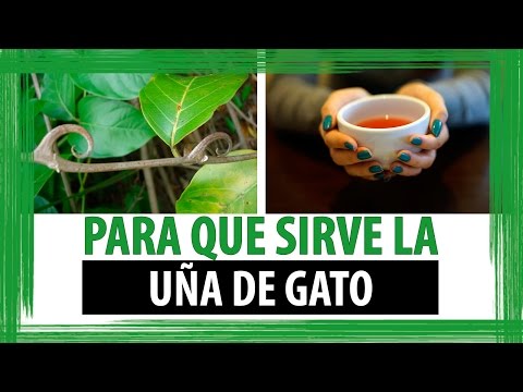 Si la diabetes enfermo con hepatitis ¿Puedo comer fresas con diabetes
