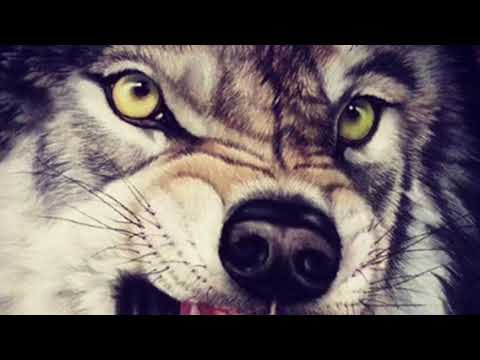 4PACK 10 DAYS ft SKRILLA