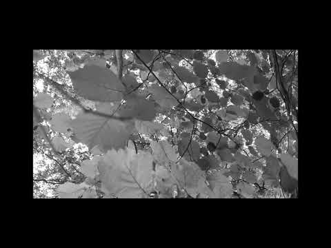 Låt till far, av Pers Erik efter Pers Erik Olsson & Pers Hans Olsson