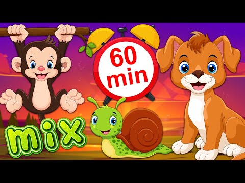 Sat vremena PESMICA za DECU 💚 MIX najlepših dečijih pesama 💛 Životinje za decu ❤️️ Vesela farma 💜