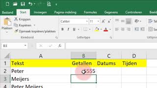 Excel2016 Les02 Aanpassen en Invoer tekst