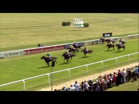 Galopprennbahn Dresden 16.06.2018 - Rennen 4