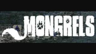 Mongrels Music - Obedience Class Dogs Get Hypnotized