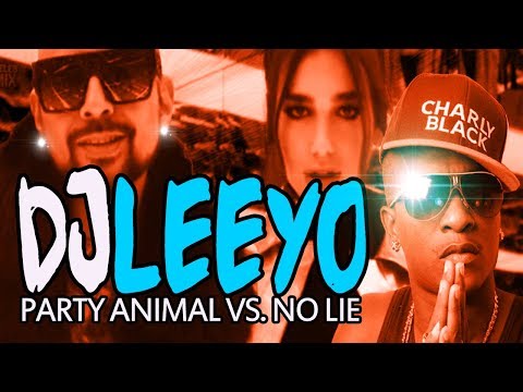 DJ LEEYO - Party Animal vs. No Lie ( 2017 )