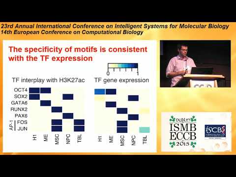 Predicting the human epigenome from DNA motifs  - John Whitaker - ISMB/ECCB 2015