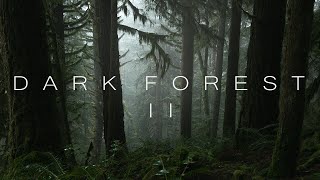 Dark Forest II | 4K Nature Video | Dark Cinematic Forest | 4K Ultra HD