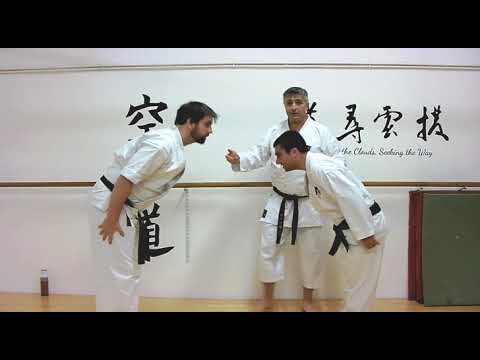 uchi uke Bunkai Strategies 2018 week 47 koryu karate oyo jutsu