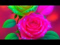 Neha Singh Vlogs Is Live Sabhi YouTube Family Ko Radhe Radhe ️ ️