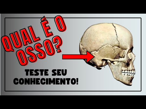 OSSOS DO CRÂNIO - Corpo Quiz 10 PERGUNTAS