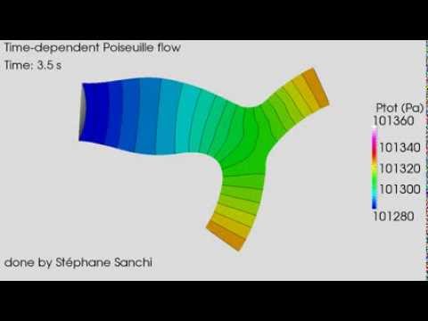 Biofluids - Pulmonary Artery Bifurcation Simulation with OpenFOAM