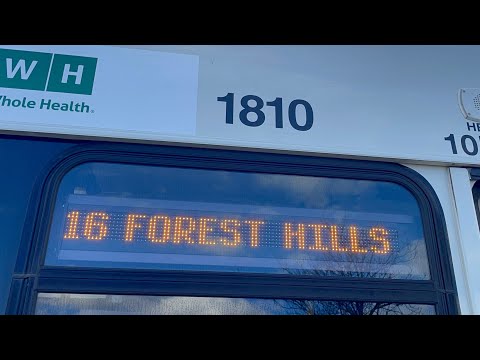 A Reason Why To Not Film In The Front! | Yoshi's Ride Series {S4-E14} - Riding the 16 🚌 - {MBTA}