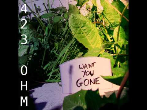 Want You Gone (Lambs to the Slaughter Mix) - 423 Ohm