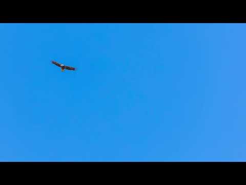 2025-3-9 Stalking Juvenile