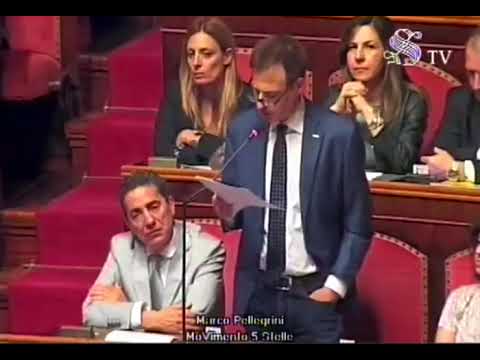 Marco Pellegrini (M5S) - Intervento in aula su fiducia Governo Conte 05/06/2018